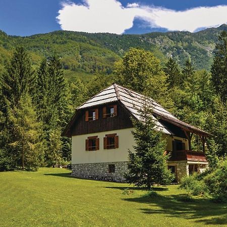 Chalet Primus Near Soca Gorge - Happy Rentals Kültér fotó